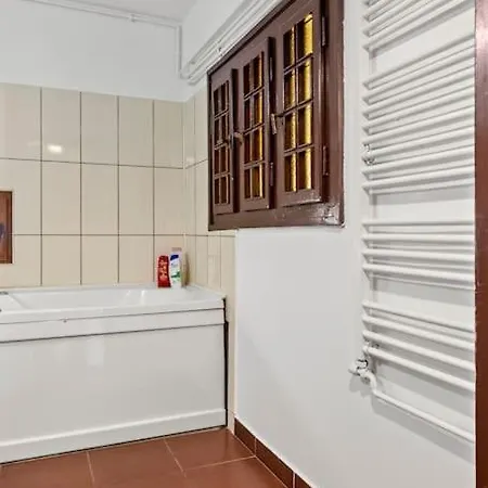 דירה Central Penthouse Studio With Bbq & Jacuzzi בוקרשט